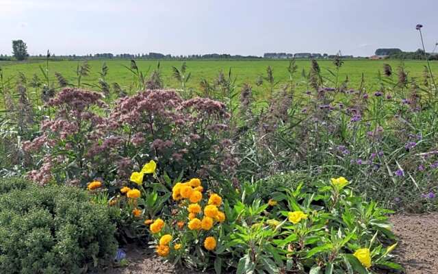 B&B De Hemelse Polder