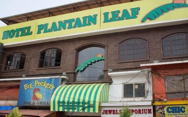 Treebo Trip Plantain Leaf