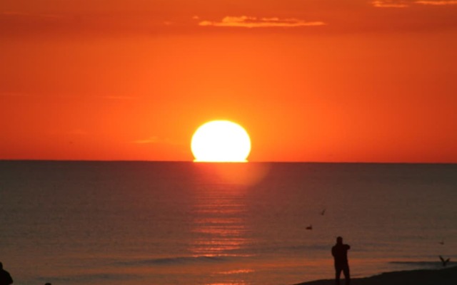 Emerald Dolphin by Surfside VR