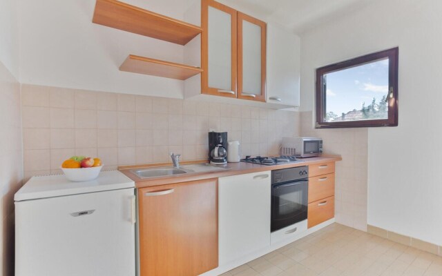 Awesome Apartment in Petrcane With Wifi and 1 Bedrooms