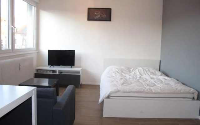 CityCosy Strasbourg PetiteFrance Meunier