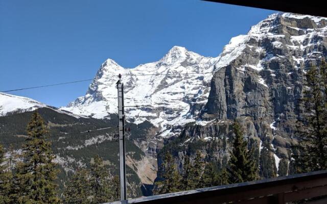 Hotel Alpenblick