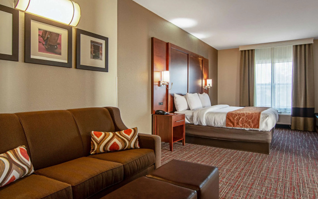 Comfort Suites NW Dallas Near Love Field