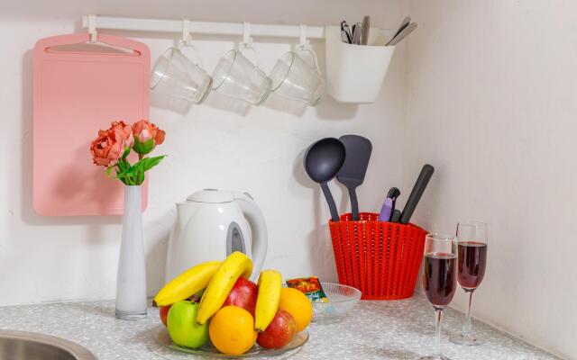 Апартаменты на улице Крестинского 35