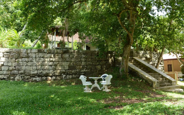 The Jungle House