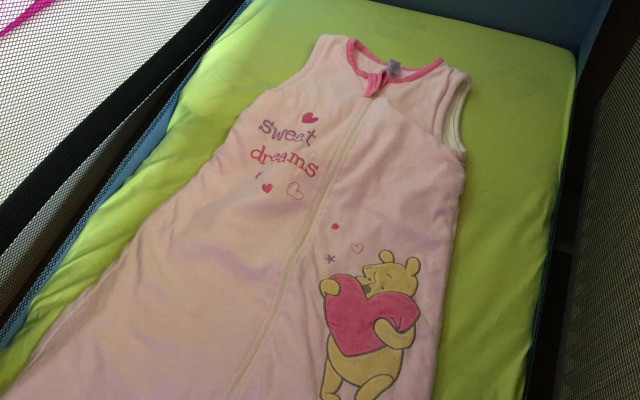 Whg./flat am Großen Garten in Dresden