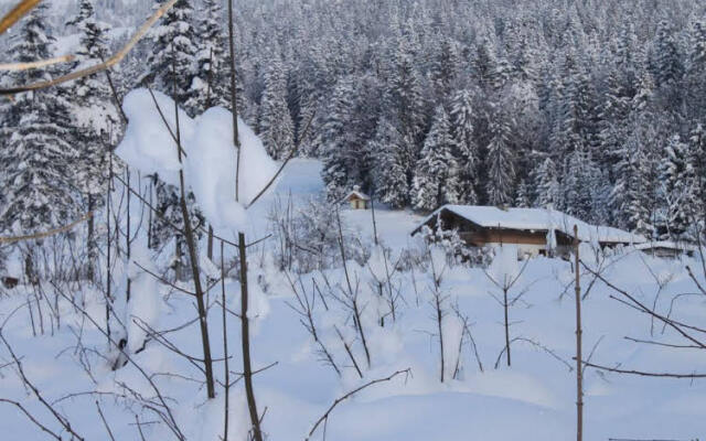 Pension Apartment Steiner