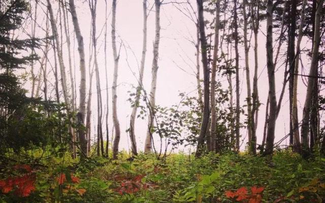 Breton Cove Farmhouse