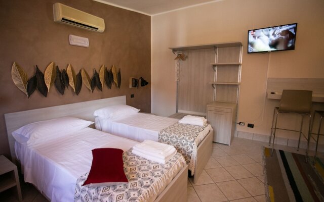 B&B Trepo