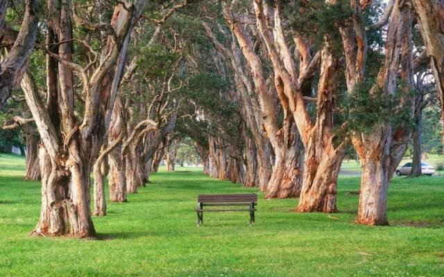 Rustic Hardwood 2 Bedroom Apartment in Randwick