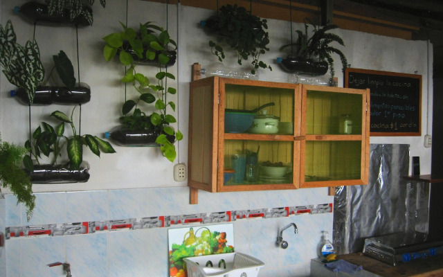 Amazon House Hostel