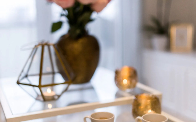 MM House - Adults Only