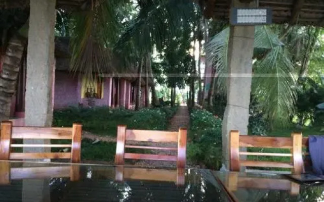 Paddy Homestay