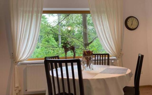 Pensiune păstrăvărie La pintea haiducu