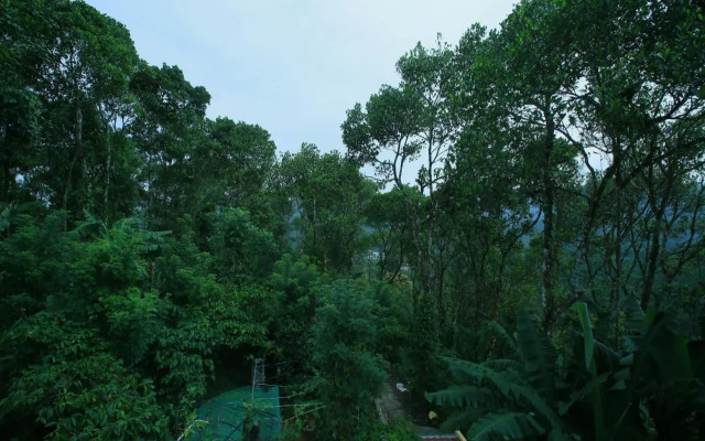 Mount Spring Valley Homestay
