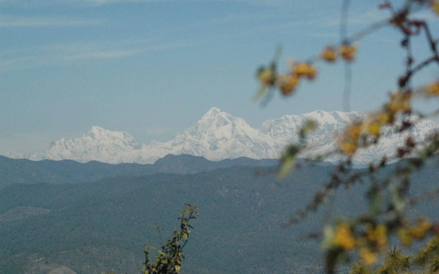 Woodsvilla Residency Ranikhet