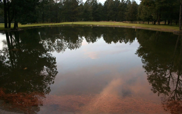 Rancho Viejo