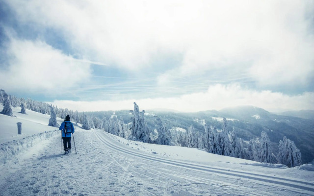 Hus im Schwefelmättle, Hinterzarten