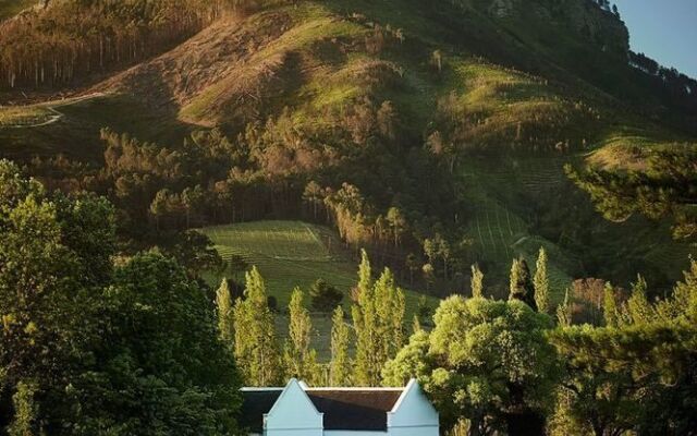 Molenvliet Oosthuizen Family Vineyards