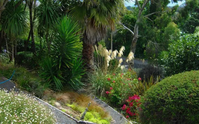 The Loft Art Studio & Premium Bed and Breakfast