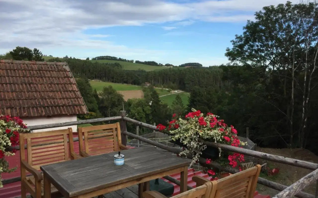 Haflingerhof Luef