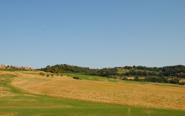 Alice - Podere Ribatti Casole d'Elsa