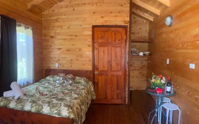 Clusia Lodge