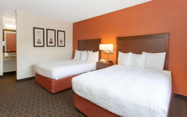 Americınn Of Calumet