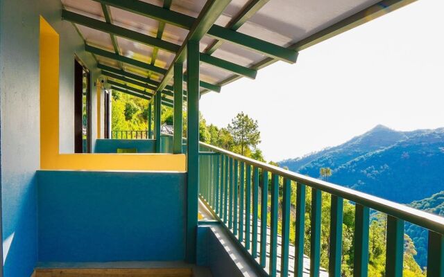 The Himalayan Deodar