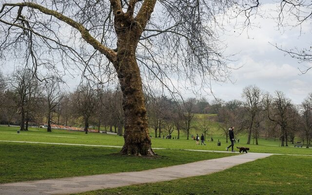 New Super 1 Bedroom Flat in the Heart of Greenwich