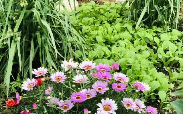 Tianjin Wuyue Xiangyu Boutique Homestay