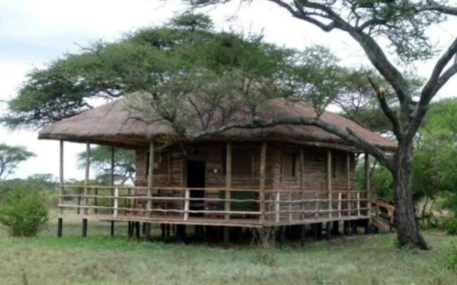 Ikoma Safari Camp