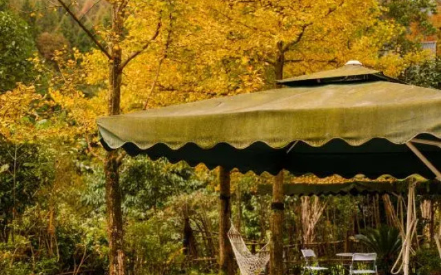 Qingcheng Mountain Moan Qingcheng Tangquan View B&B