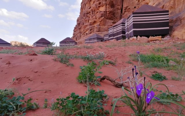 Wadi Rum Desert Tours Camp