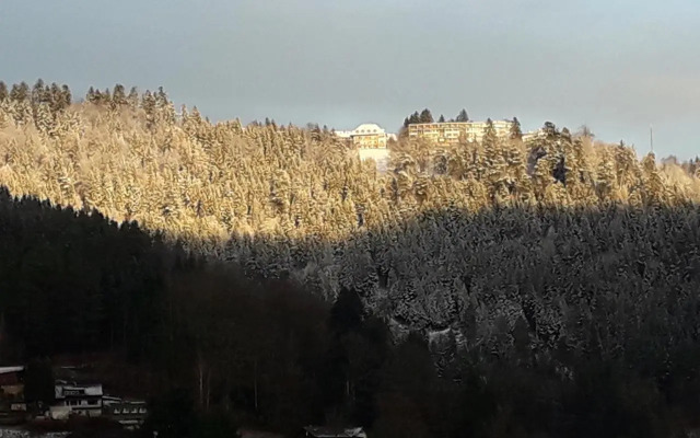 Ferienwohnung in ruhiger Waldrandlage