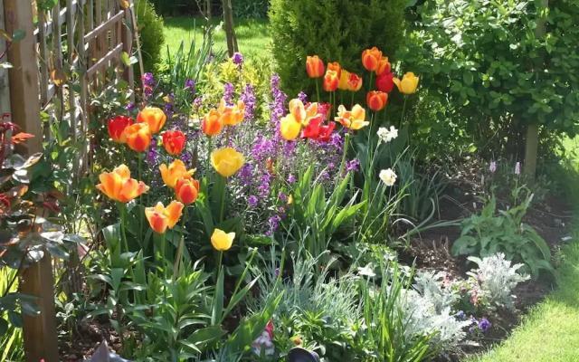 Rose Briar B&B