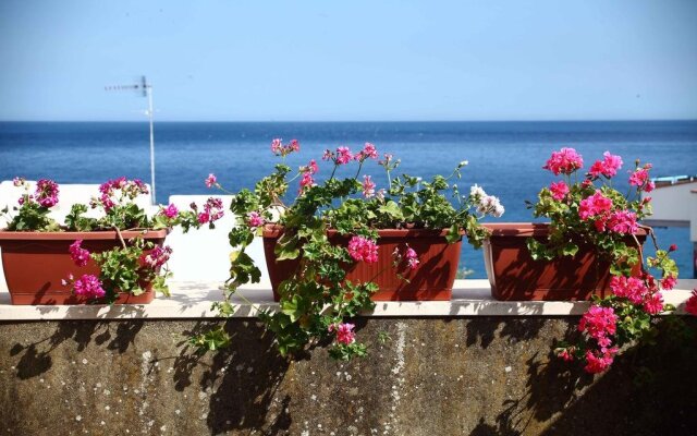 Fico Bed and Breakfast