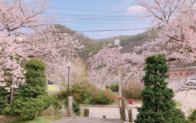 Pocheon Byeoljangchon Pension