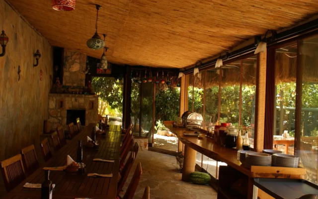 Lazy Lizard Boutique-Hotel