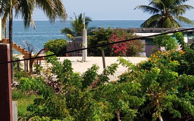 All Seasons Belize