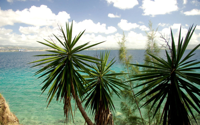 Residence The Marina