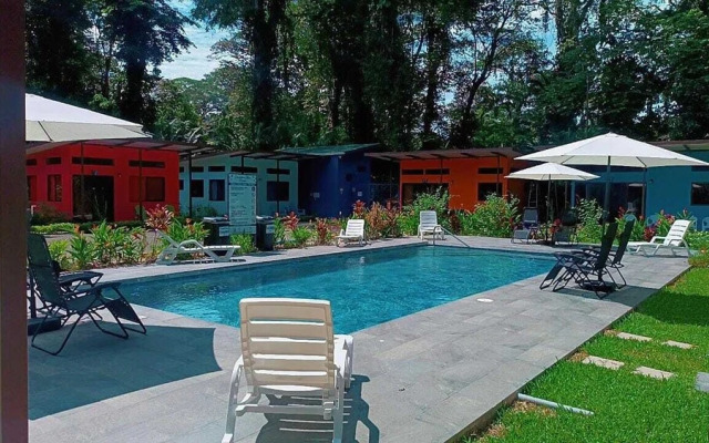 Caribbean Blue Morpho