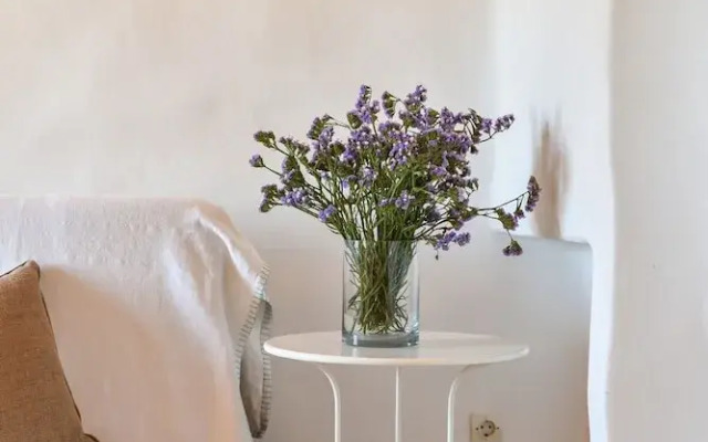 Sea-aura House in Tinos