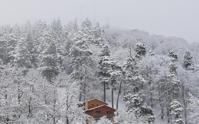 Villa B Barleon-Bakuriani
