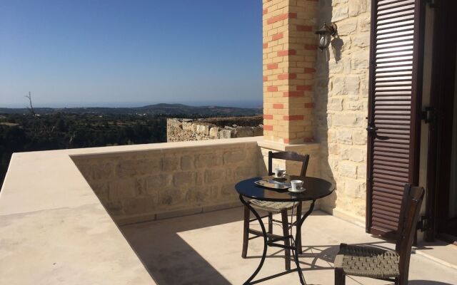 Dim Art Stone House