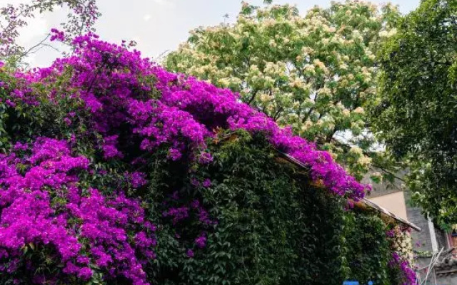 Kunming Yinyue Homestay