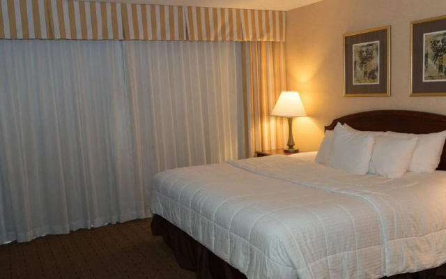 MCM Eleganté Hotel & Suites