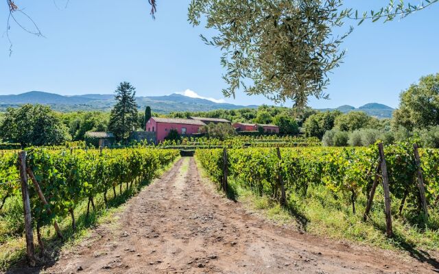 Terrazze dell'Etna - Rooms & Apartments