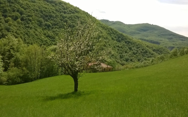 Agricola Tre Rii Sidreria