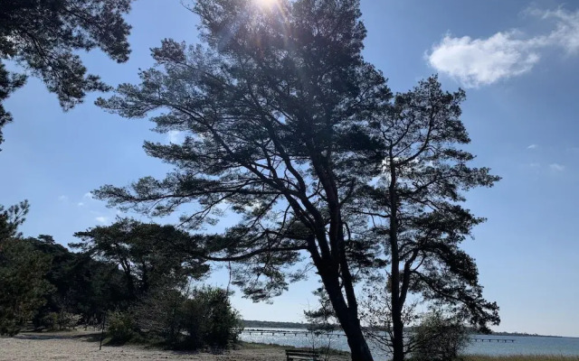 Hanöhus Strandstugor och Annex